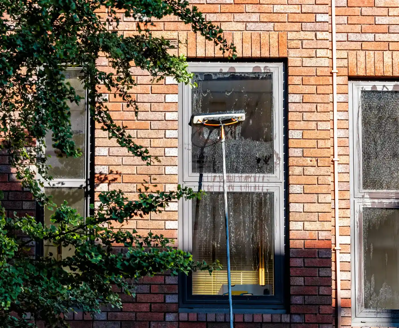 A cleaning brush is scrubbing a window on a sunlit brick building. Nearby, branches of a leafy tree cast shadows, creating a serene, tidy atmosphere.