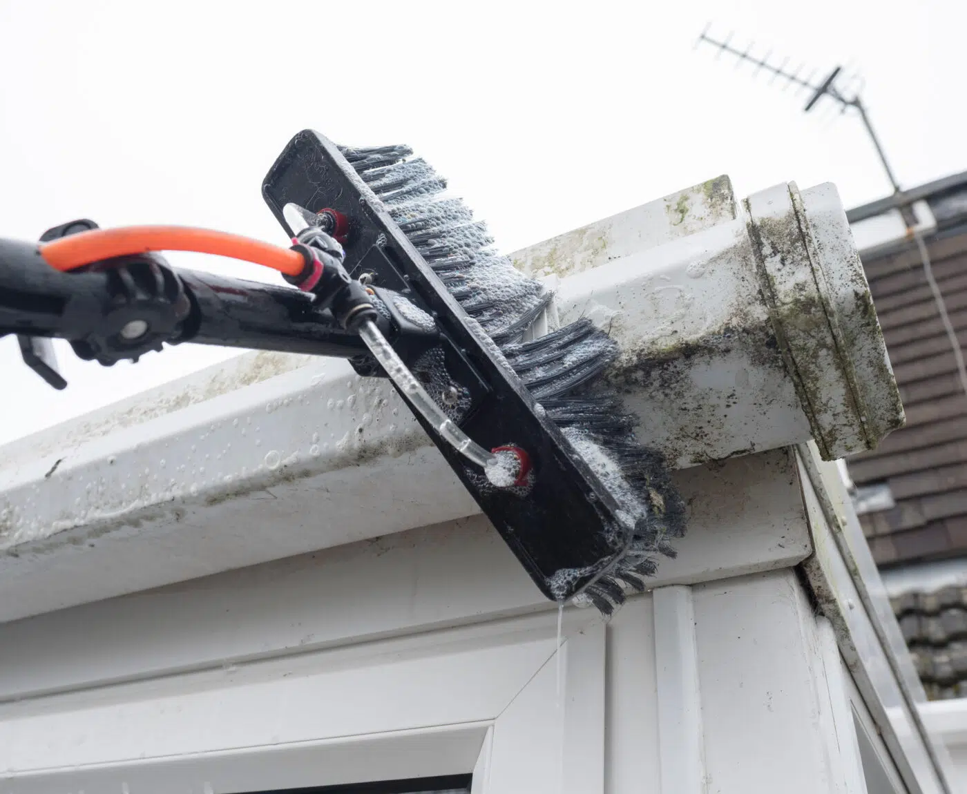 Gutter and roof cleaning