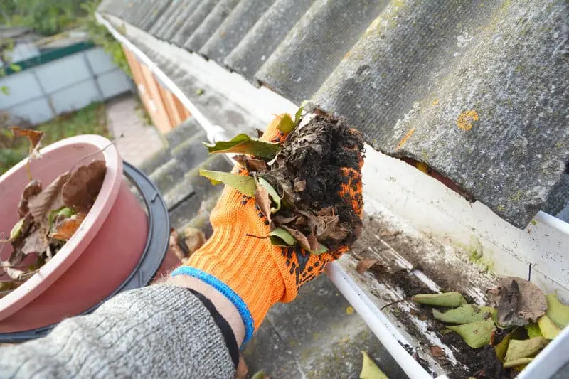Gutter Cleaning Tips for the Fall, Winter, Spring, and Summer Seasons